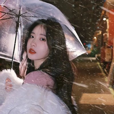 狗的生涯